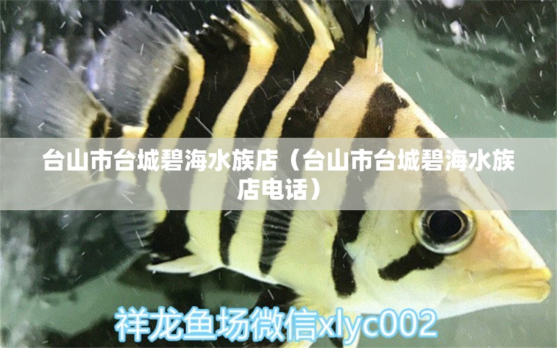 台山市台城碧海水族店（台山市台城碧海水族店电话）