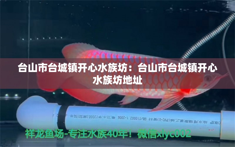 台山市台城镇开心水族坊：台山市台城镇开心水族坊地址