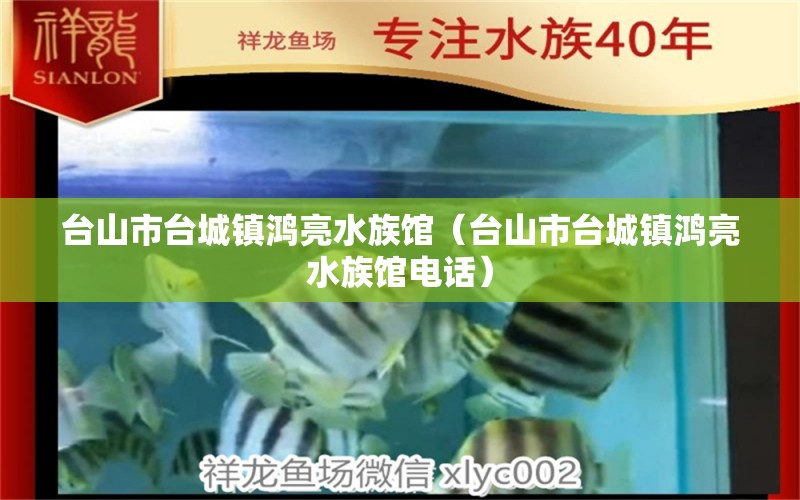 台山市台城镇鸿亮水族馆（台山市台城镇鸿亮水族馆电话） 全国水族馆企业名录