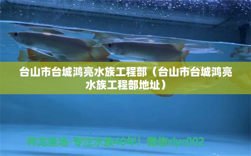 台山市台城鸿亮水族工程部（台山市台城鸿亮水族工程部地址）