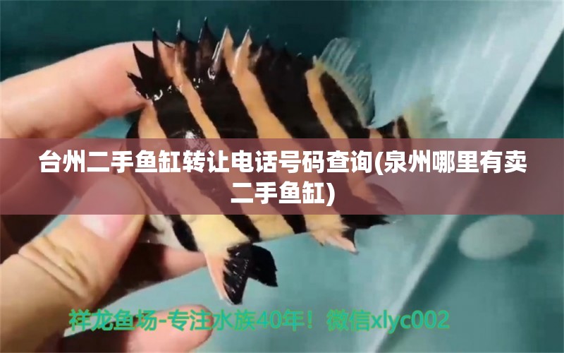 台州二手鱼缸转让电话号码查询(泉州哪里有卖二手鱼缸) 水族杂谈