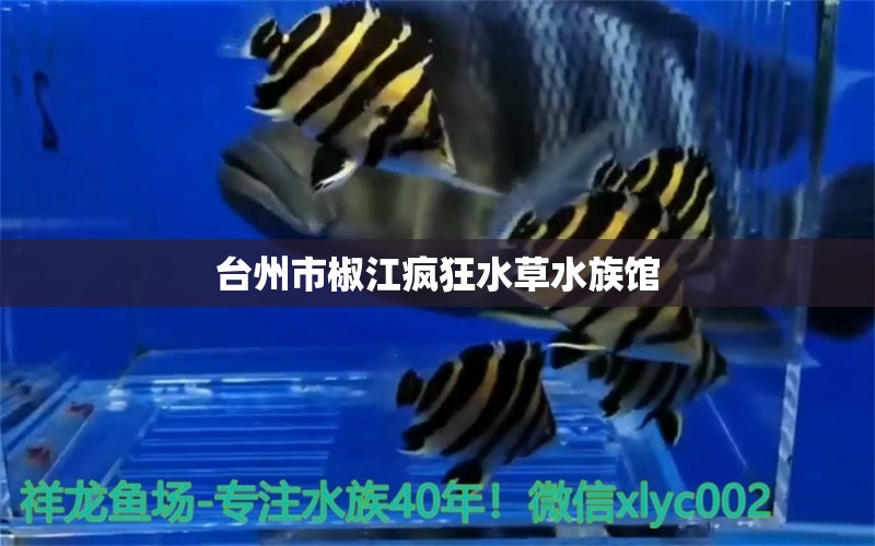 台州市椒江疯狂水草水族馆