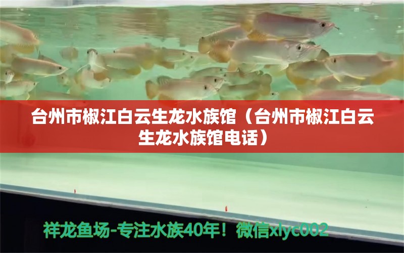 台州市椒江白云生龙水族馆（台州市椒江白云生龙水族馆电话）