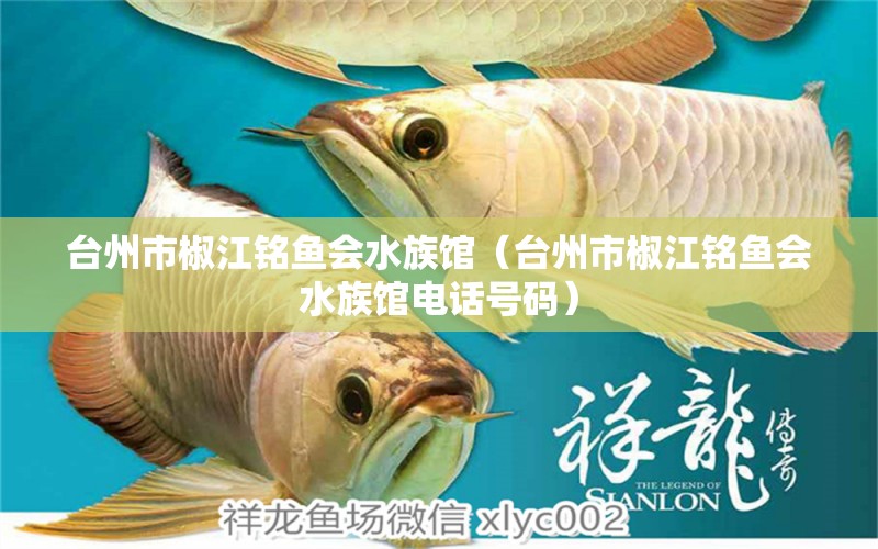 台州市椒江铭鱼会水族馆（台州市椒江铭鱼会水族馆电话号码） 全国水族馆企业名录