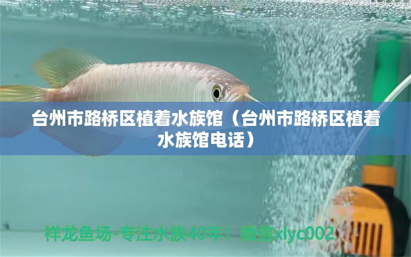 台州市路桥区植着水族馆（台州市路桥区植着水族馆电话）