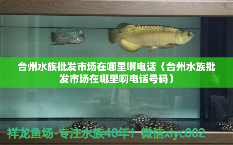 台州水族批发市场在哪里啊电话（台州水族批发市场在哪里啊电话号码）