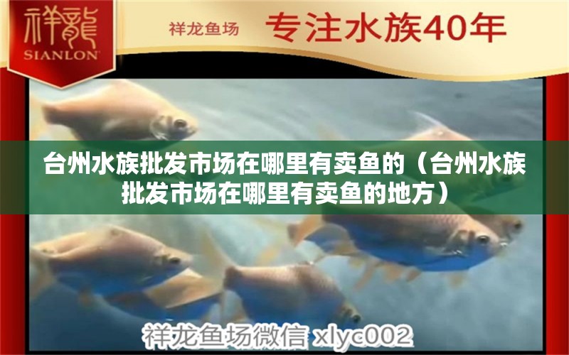 台州水族批发市场在哪里有卖鱼的（台州水族批发市场在哪里有卖鱼的地方）