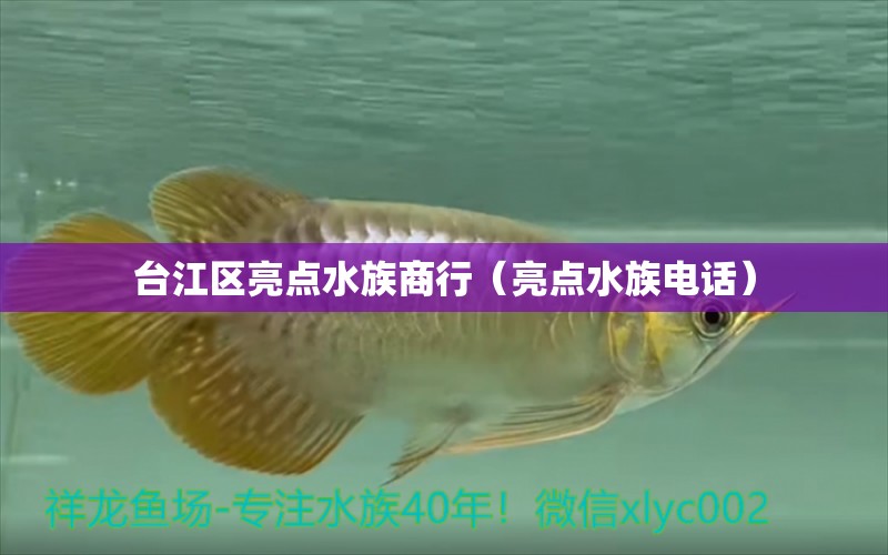 台江区亮点水族商行（亮点水族电话）