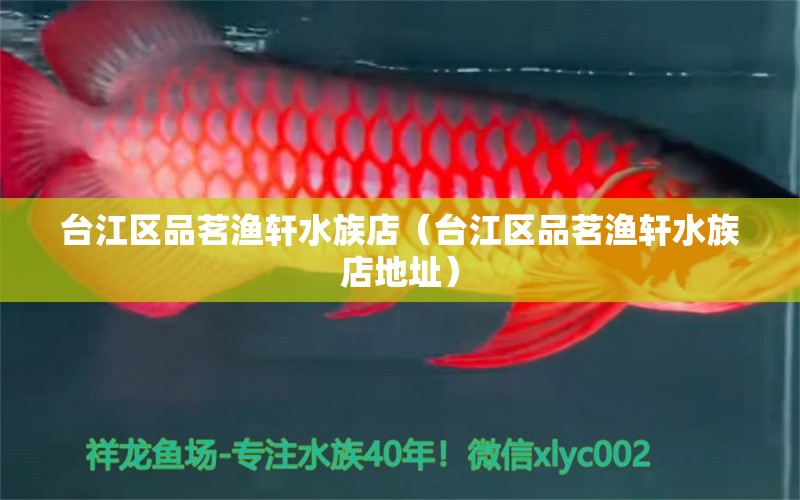 台江区品茗渔轩水族店（台江区品茗渔轩水族店地址）