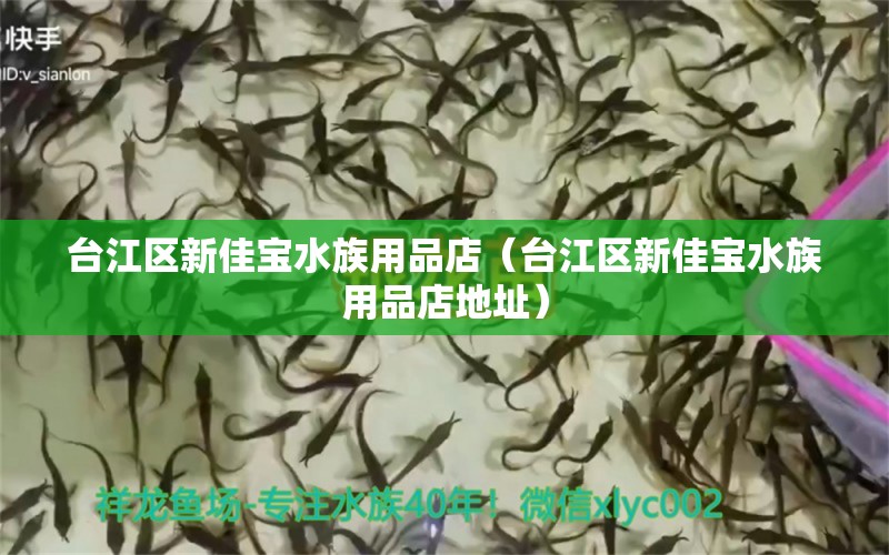 台江区新佳宝水族用品店（台江区新佳宝水族用品店地址）