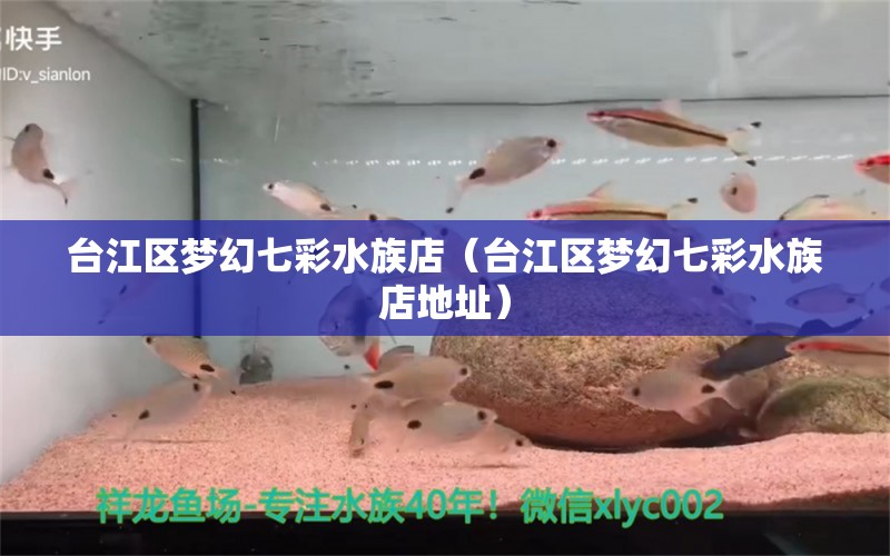 台江区梦幻七彩水族店（台江区梦幻七彩水族店地址）