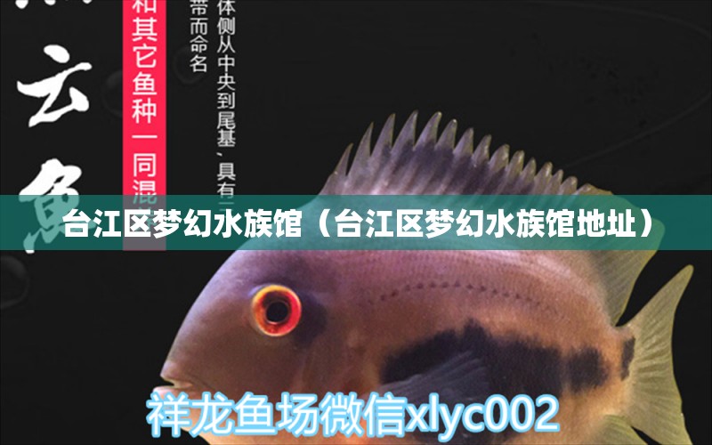 台江区梦幻水族馆（台江区梦幻水族馆地址）