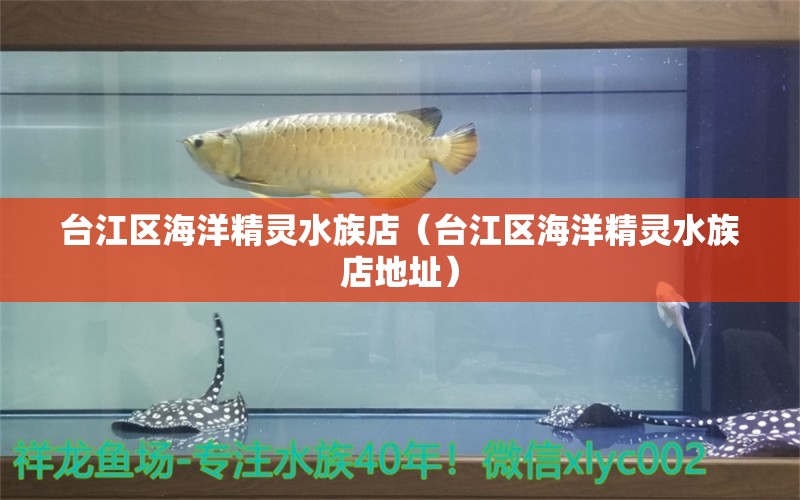 台江区海洋精灵水族店（台江区海洋精灵水族店地址）