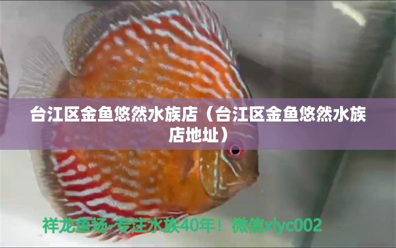 台江区金鱼悠然水族店（台江区金鱼悠然水族店地址）