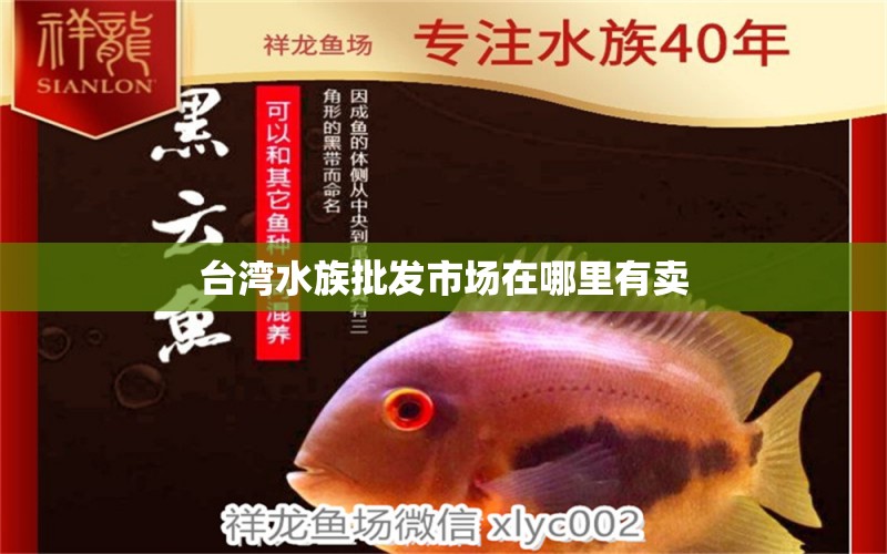 台湾水族批发市场在哪里有卖 观赏鱼水族批发市场
