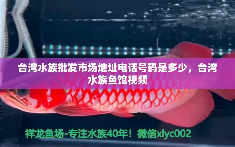 台湾水族批发市场地址电话号码是多少，台湾水族鱼馆视频 观赏鱼水族批发市场