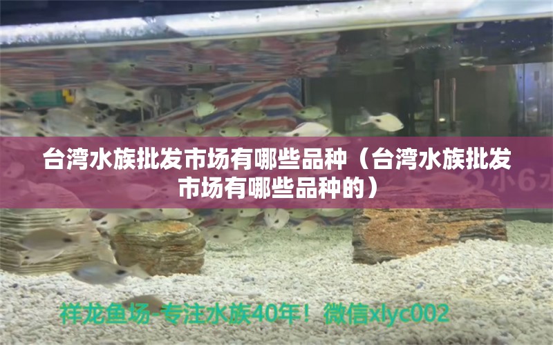 台湾水族批发市场有哪些品种（台湾水族批发市场有哪些品种的）