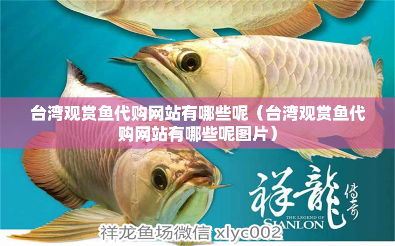 台湾观赏鱼代购网站有哪些呢（台湾观赏鱼代购网站有哪些呢图片） 祥龙水族医院