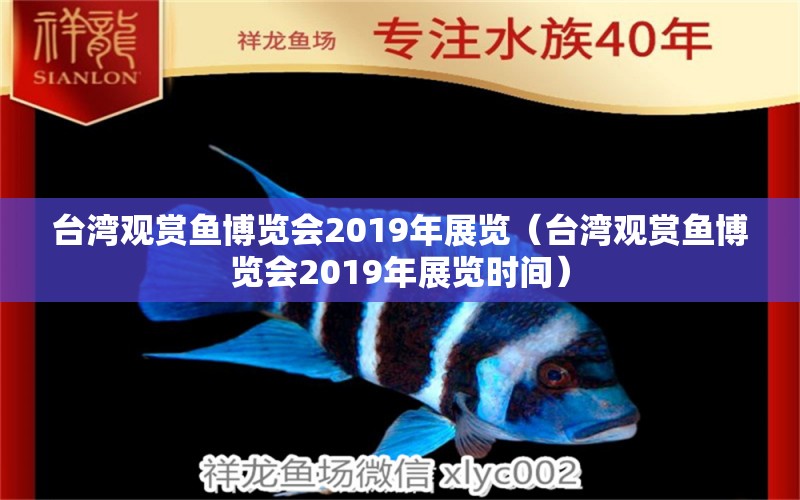 台湾观赏鱼博览会2019年展览（台湾观赏鱼博览会2019年展览时间）