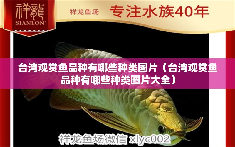 台湾观赏鱼品种有哪些种类图片（台湾观赏鱼品种有哪些种类图片大全） 祥龙水族医院