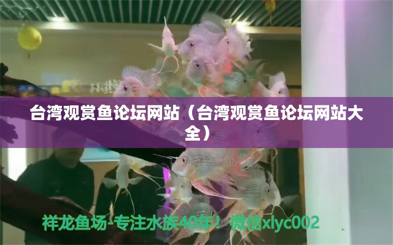 台湾观赏鱼论坛网站（台湾观赏鱼论坛网站大全） 祥龙水族医院