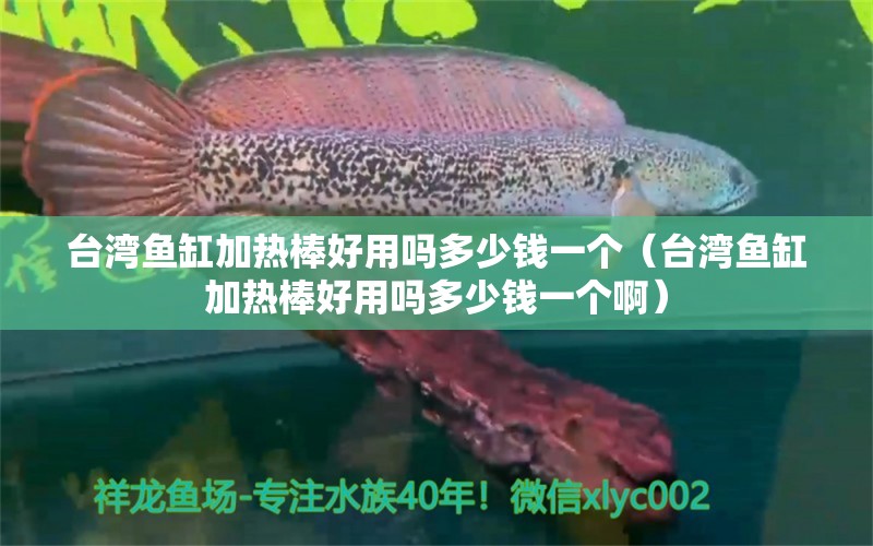 台湾鱼缸加热棒好用吗多少钱一个（台湾鱼缸加热棒好用吗多少钱一个啊） 祥龙水族医院