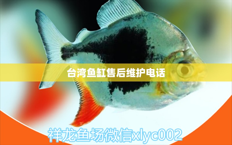 台湾鱼缸售后维护电话