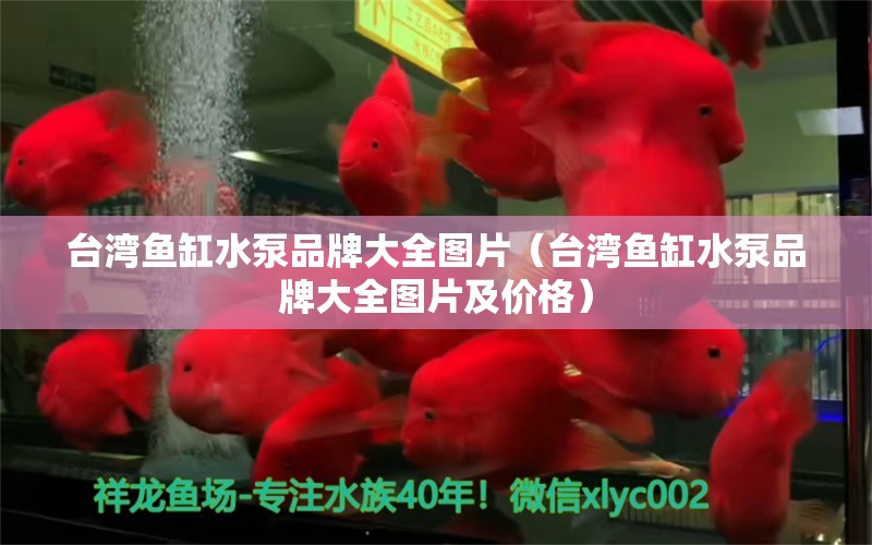 台湾鱼缸水泵品牌大全图片（台湾鱼缸水泵品牌大全图片及价格） 鱼缸水泵