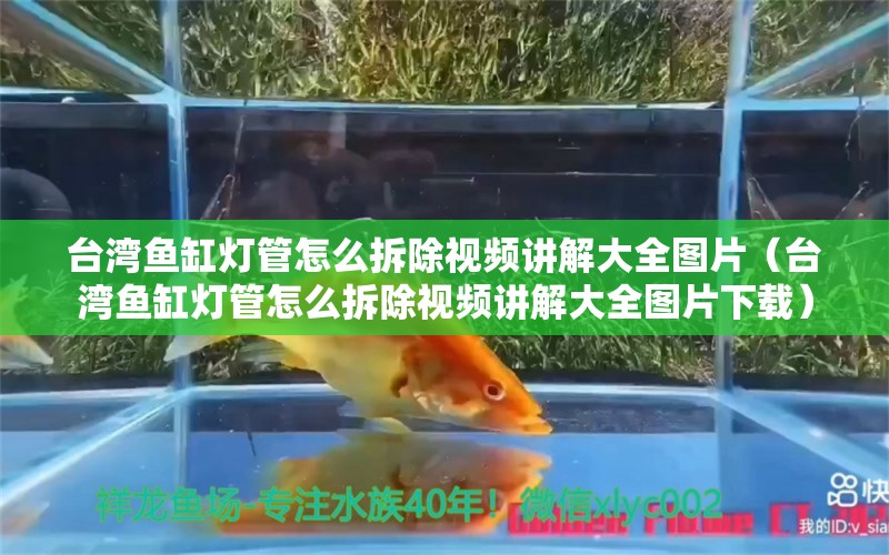 台湾鱼缸灯管怎么拆除视频讲解大全图片（台湾鱼缸灯管怎么拆除视频讲解大全图片下载）