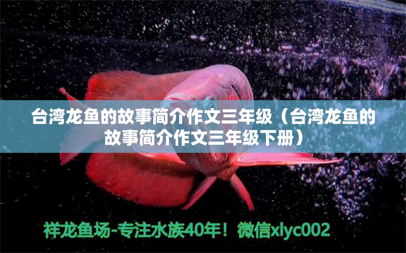 台湾龙鱼的故事简介作文三年级（台湾龙鱼的故事简介作文三年级下册）