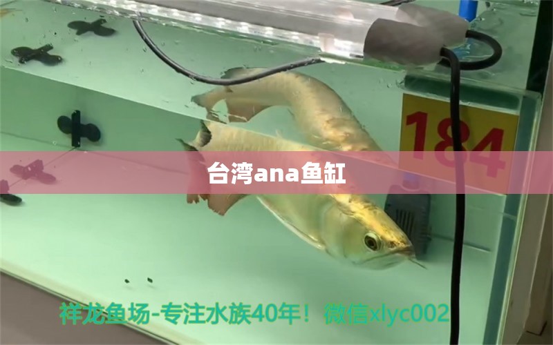 台湾ana鱼缸 其他品牌鱼缸