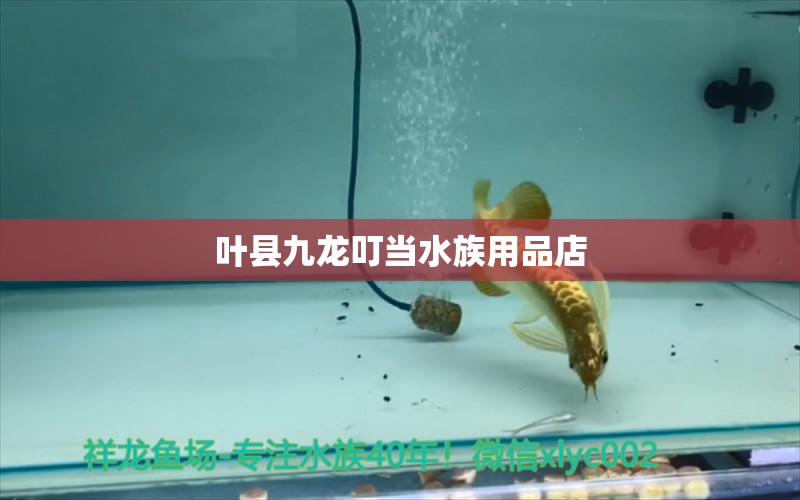 叶县九龙叮当水族用品店 水族用品