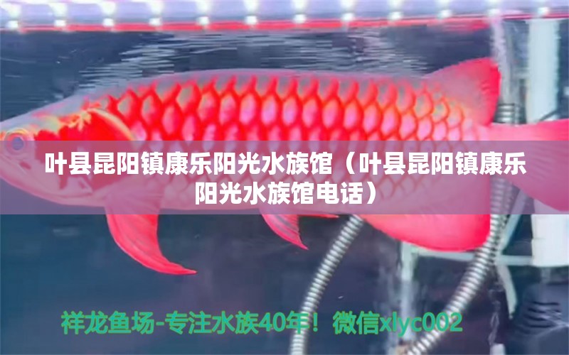 叶县昆阳镇康乐阳光水族馆（叶县昆阳镇康乐阳光水族馆电话）