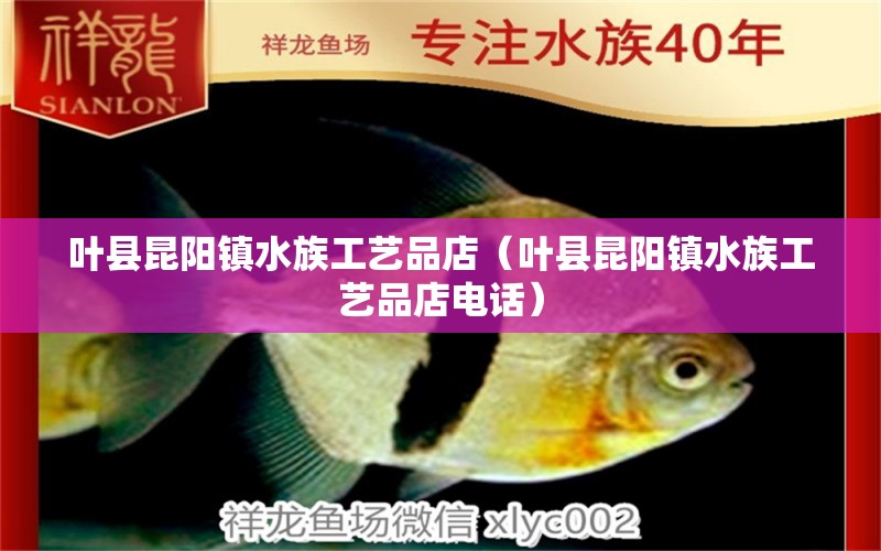 叶县昆阳镇水族工艺品店（叶县昆阳镇水族工艺品店电话）