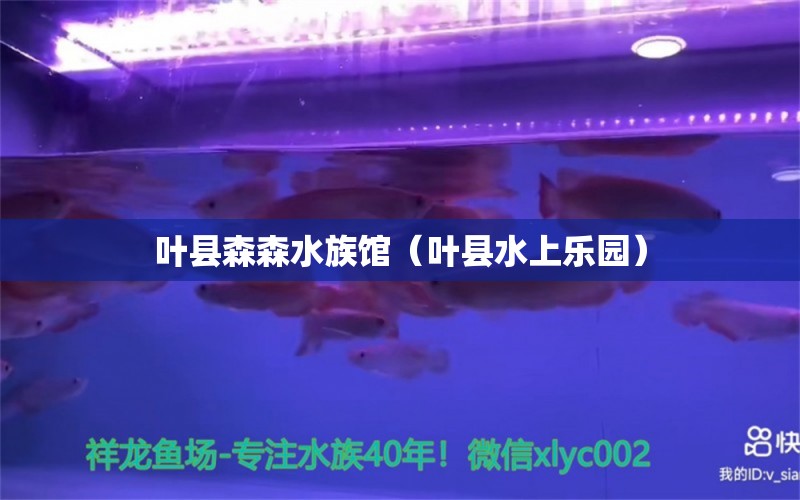 叶县森森水族馆（叶县水上乐园） 全国水族馆企业名录