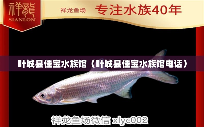 叶城县佳宝水族馆（叶城县佳宝水族馆电话） 全国水族馆企业名录