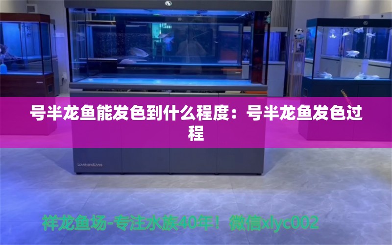 号半龙鱼能发色到什么程度：号半龙鱼发色过程