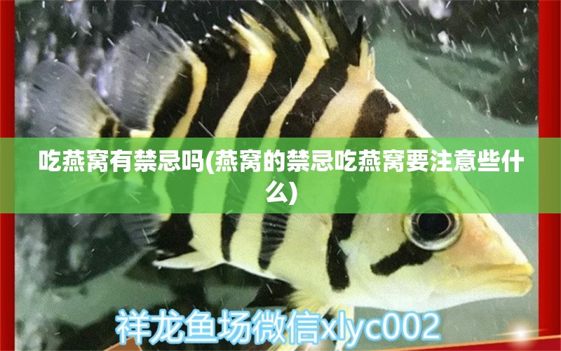 吃燕窝有禁忌吗(燕窝的禁忌吃燕窝要注意些什么)