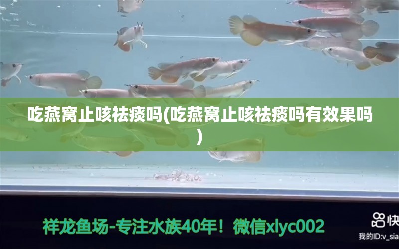 吃燕窝止咳祛痰吗(吃燕窝止咳祛痰吗有效果吗) 马来西亚燕窝 第1张