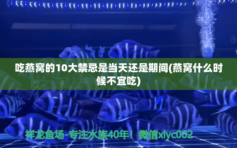 吃燕窝的10大禁忌是当天还是期间(燕窝什么时候不宜吃) 马来西亚燕窝 第1张