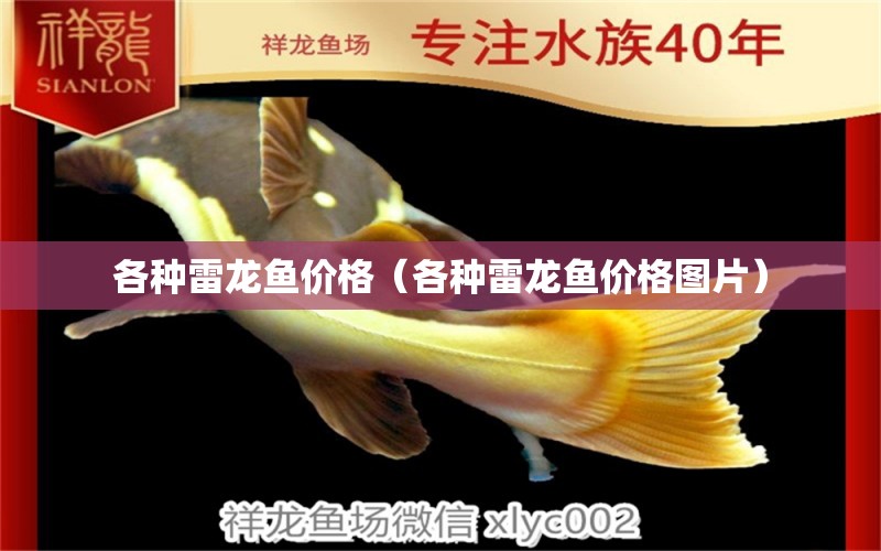 各种雷龙鱼价格（各种雷龙鱼价格图片） 祥龙水族医院