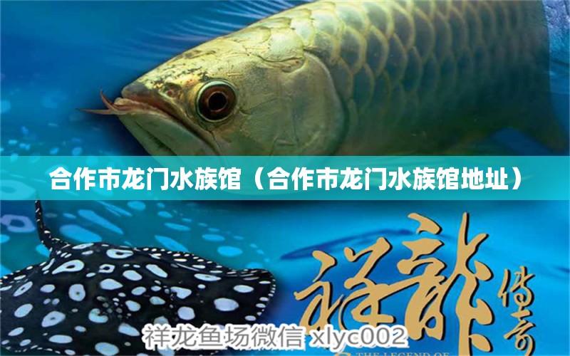 合作市龙门水族馆（合作市龙门水族馆地址）