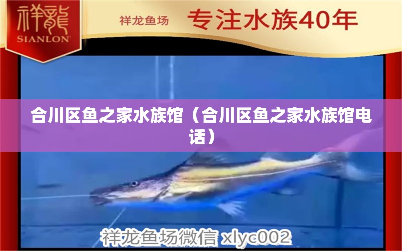 合川区鱼之家水族馆（合川区鱼之家水族馆电话） 全国水族馆企业名录