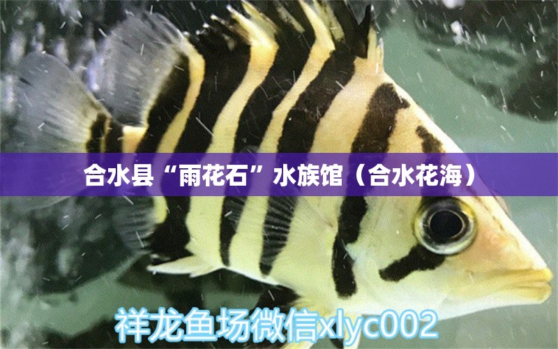 合水县“雨花石”水族馆（合水花海） 全国水族馆企业名录