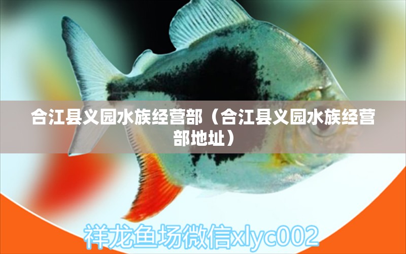 合江县义园水族经营部（合江县义园水族经营部地址） 全国水族馆企业名录