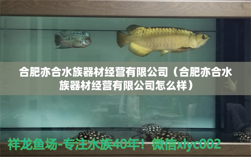 合肥亦合水族器材经营有限公司（合肥亦合水族器材经营有限公司怎么样）