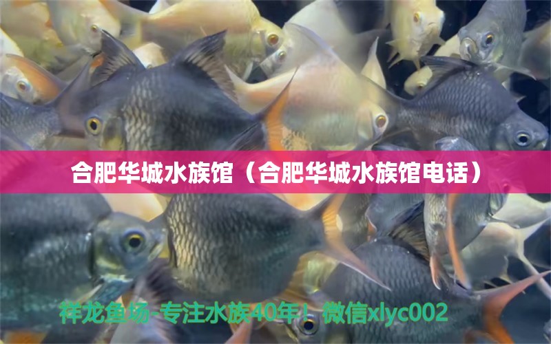 合肥华城水族馆（合肥华城水族馆电话）