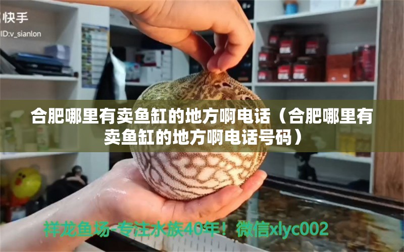 合肥哪里有卖鱼缸的地方啊电话（合肥哪里有卖鱼缸的地方啊电话号码）