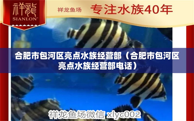 合肥市包河区亮点水族经营部（合肥市包河区亮点水族经营部电话）