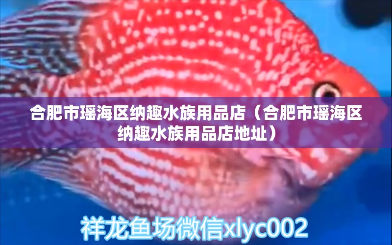 合肥市瑶海区纳趣水族用品店（合肥市瑶海区纳趣水族用品店地址）